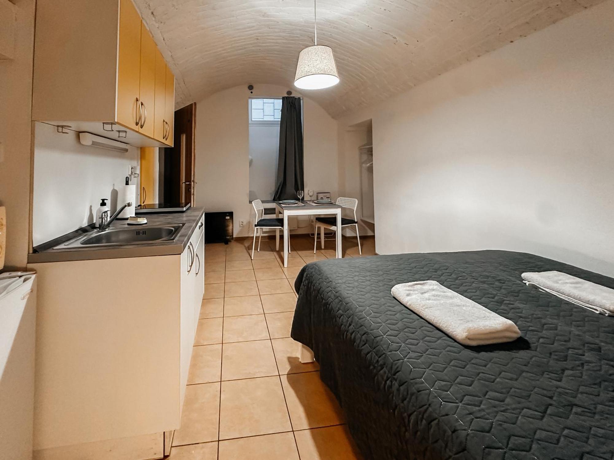 Elso Apartments プラハ エクステリア 写真